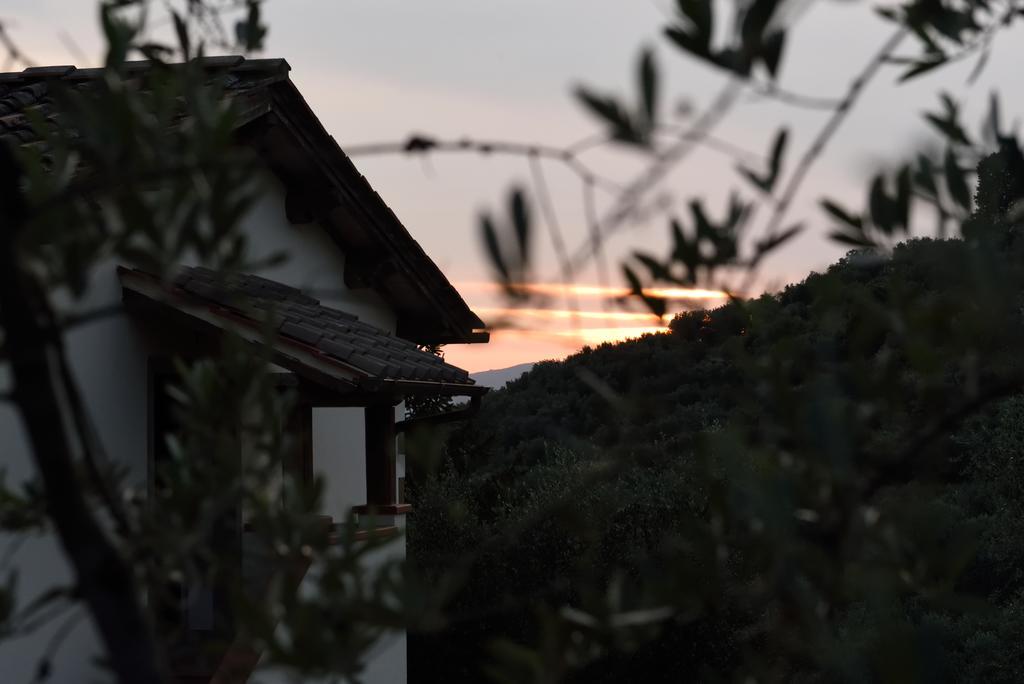 Agriturismo La Casuccia Castelfranco di Sopra Eksteriør bilde